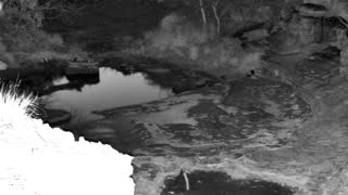 Still 2 from this detection
