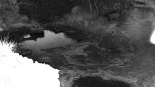 Still 1 from this detection