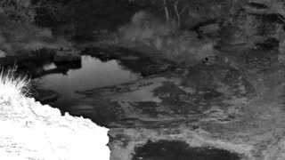 Still 2 from this detection