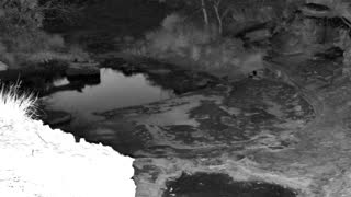 Still 3 from this detection