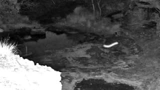 Still 2 from this detection
