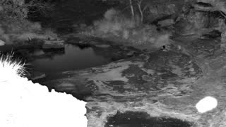 Still 1 from this detection