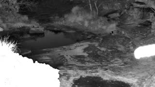 Still 2 from this detection