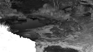 Still 3 from this detection
