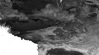 Still 1 from this detection