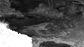 Still 2 from this detection