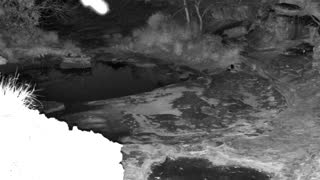 Still 2 from this detection