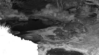 Still 1 from this detection