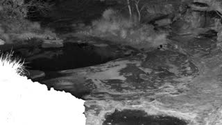 Still 1 from this detection