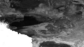 Still 1 from this detection