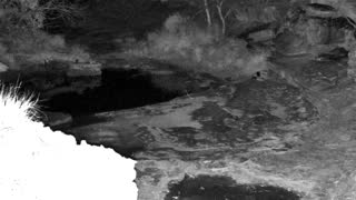 Still 2 from this detection
