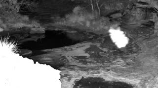 Still 1 from this detection