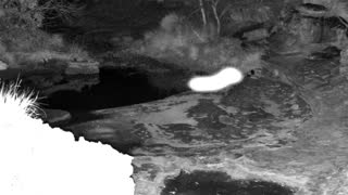 Still 2 from this detection