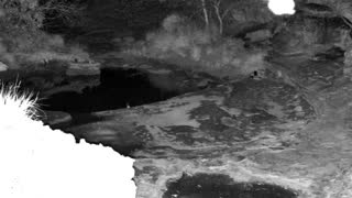 Still 2 from this detection