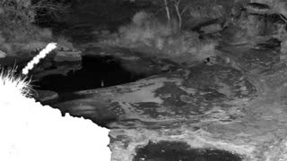 Still 2 from this detection