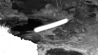 Still 1 from this detection