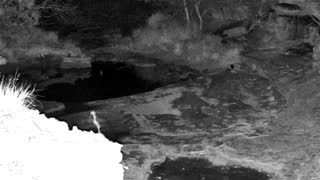 Still 1 from this detection