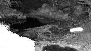 Still 1 from this detection