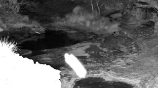 Still 1 from this detection