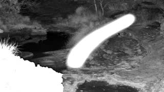Still 1 from this detection