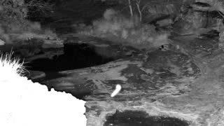 Still 1 from this detection