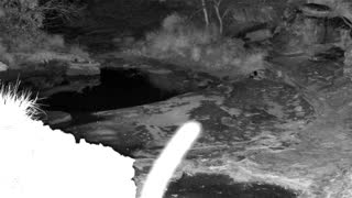 Still 1 from this detection