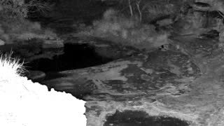 Still 2 from this detection