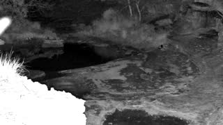 Still 3 from this detection