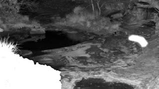 Still 2 from this detection