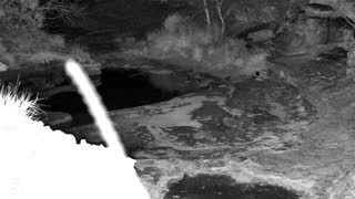 Still 1 from this detection