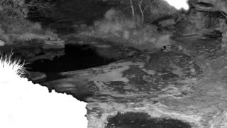 Still 2 from this detection