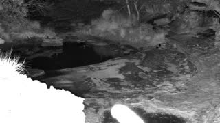 Still 2 from this detection