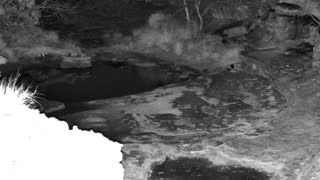 Still 2 from this detection