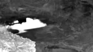 Still 1 from this detection