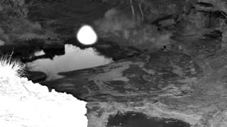 Still 1 from this detection
