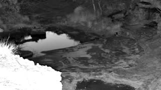 Still 1 from this detection