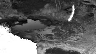 Still 1 from this detection
