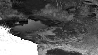 Still 2 from this detection