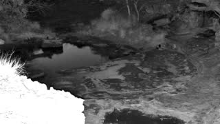 Still 3 from this detection