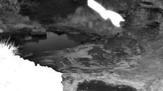 Still 2 from this detection