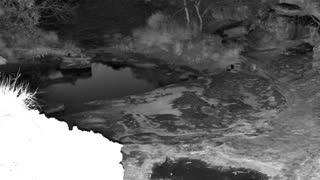 Still 3 from this detection