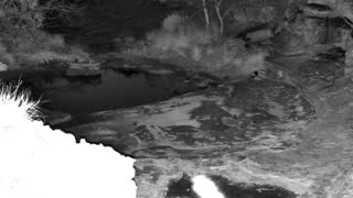 Still 1 from this detection