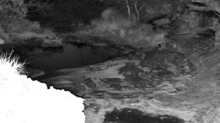 Still 2 from this detection
