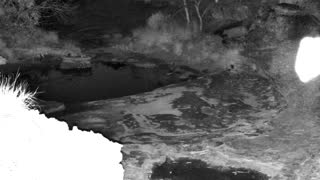Still 2 from this detection