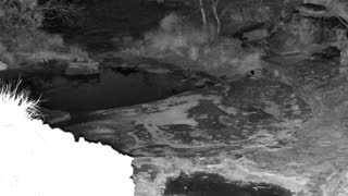 Still 3 from this detection