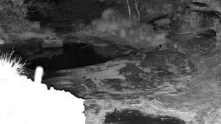 Still 2 from this detection
