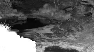 Still 1 from this detection