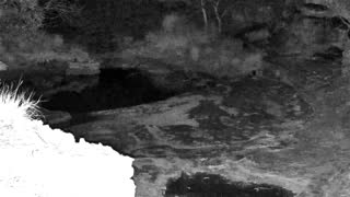 Still 1 from this detection
