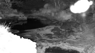 Still 1 from this detection