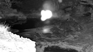 Still 2 from this detection